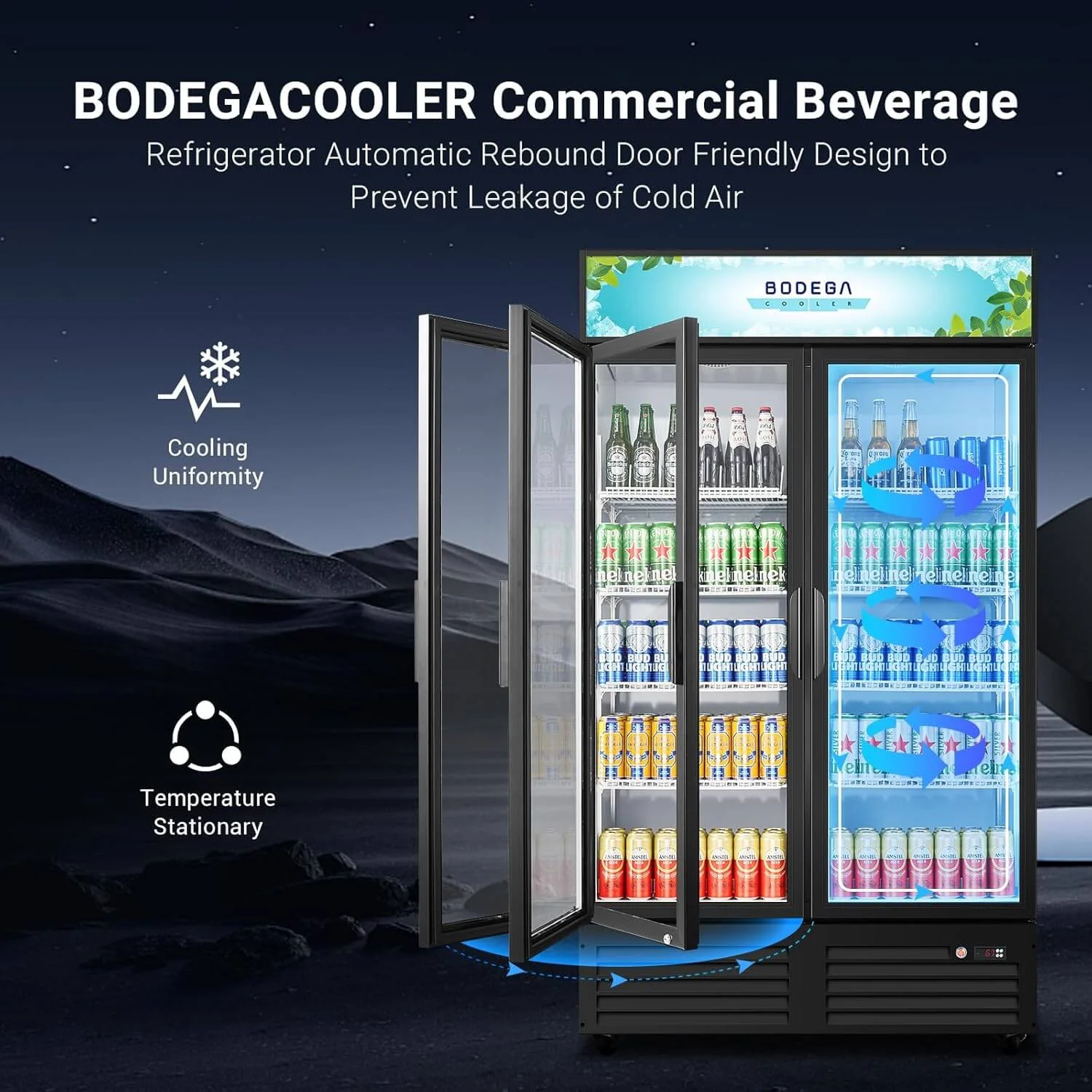 BODEGAcooler Commercial Refrigerator 2 Glass Doors Display Refrigerator Merchandiser 35.4 Cu. Ft - Image 5