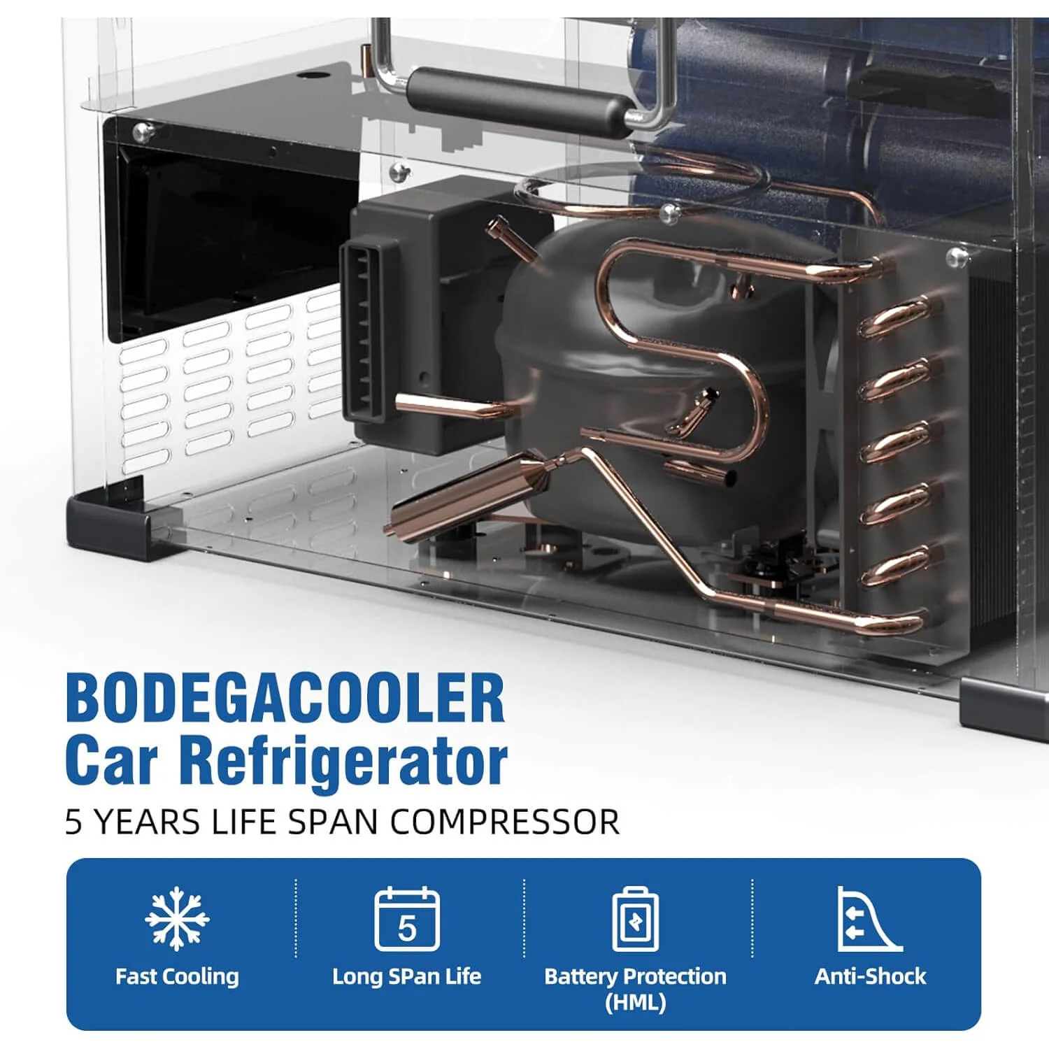 BODEGAcooler Portable Refridgerator 48Qt/45L with a Basket - Image 5