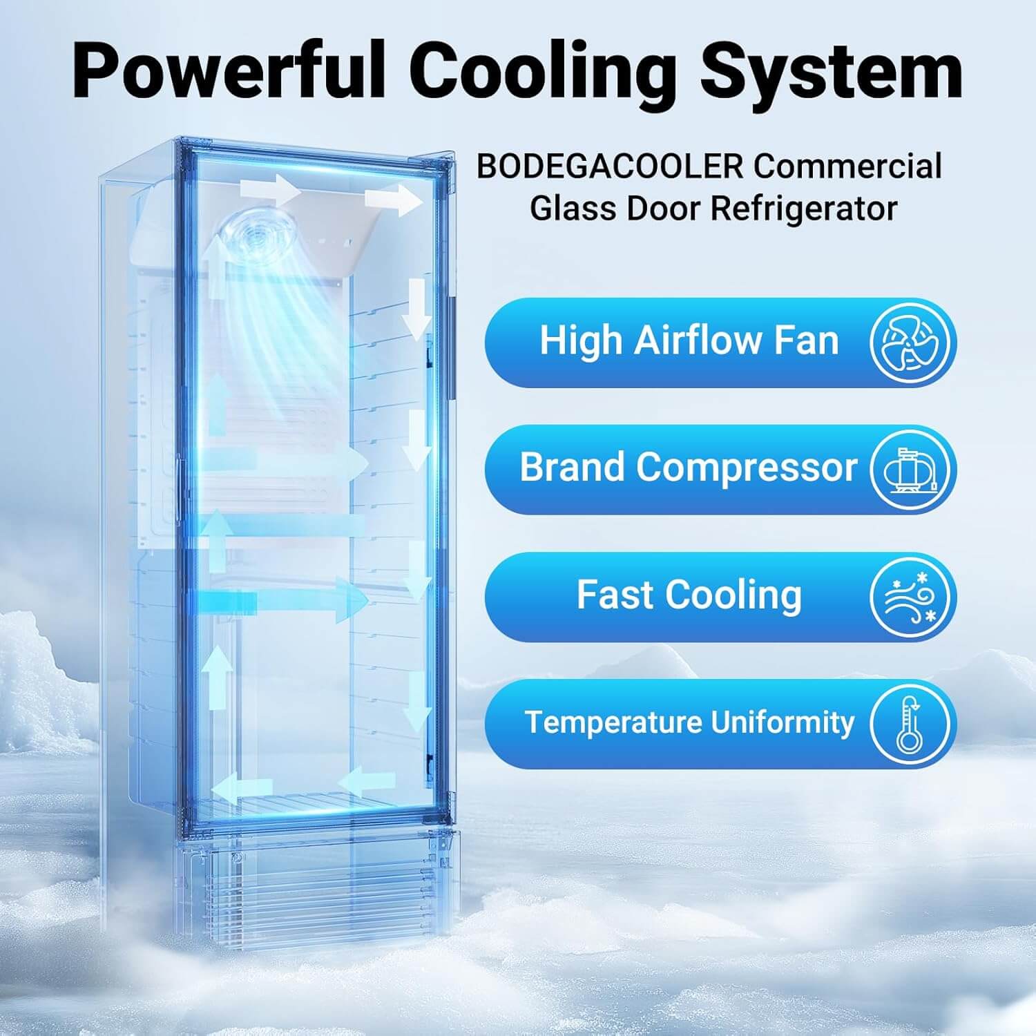 Bodega cooler Upright Display refrigerator Commercial Fridge 10.2 Cu.Ft. - Image 3