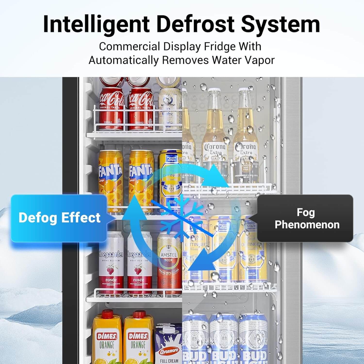 Bodega cooler Upright Display refrigerator Commercial Fridge 10.2 Cu.Ft. - Image 5