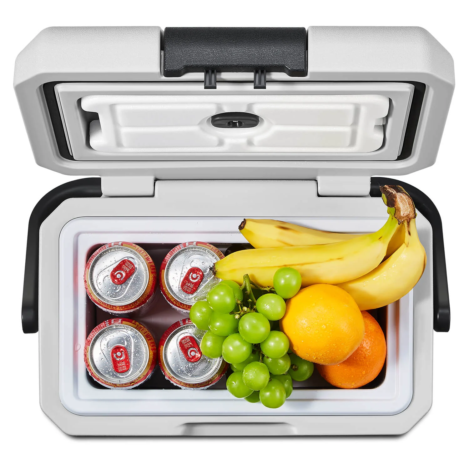 Earth Day Sale-BODEGAcooler Mini 12V Portable Freezer P8 9Qt/8L - Image 4